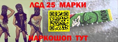 spice Обь