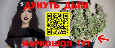 spice Обь