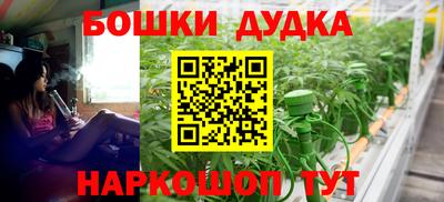 spice Обь